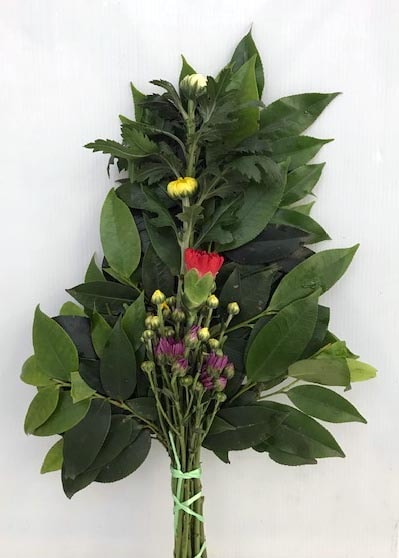 ��֣ԡݣ� ����