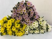 SP�ޥ�MIX��L