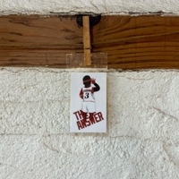 �ڥ��ƥå�����IVERSON WHITE