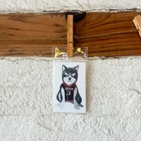 �ڥ��ƥå�����DOGGY IVERSON