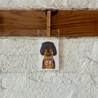 �ڥ��ƥå�����DOGGY KOBE