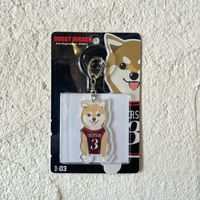 �ڥ��������ۼƸ�IVERSON