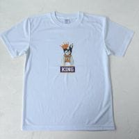 �ڥɥ饤T��KING�ե�֥� �ۥ磻��