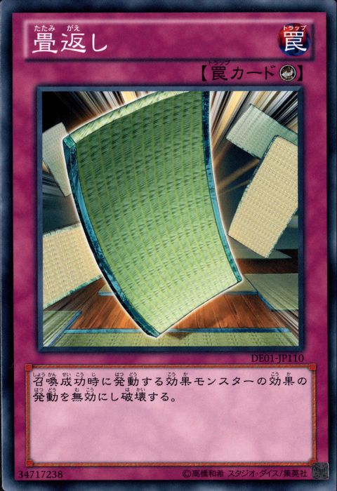 [N] DE01-JP110《畳返し》
