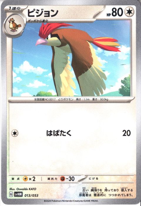 [‐] SVHM-013/053《ピジョン》