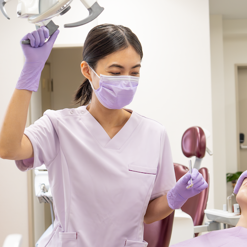 シルキータッチ ライラック 検査・検診用 粉無 XS S M L 2500枚入 メディコムジャパン