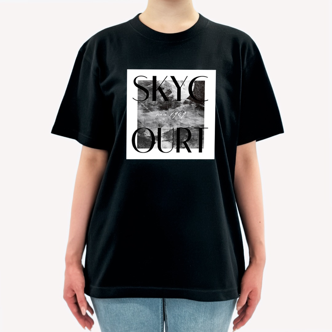 SKYCOURT���� �֥�å�T�����