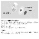 【nan様のフォロワー様　限定特価】cado 除菌サーキュレーター扇風機 STREAM1800F STR-1800F