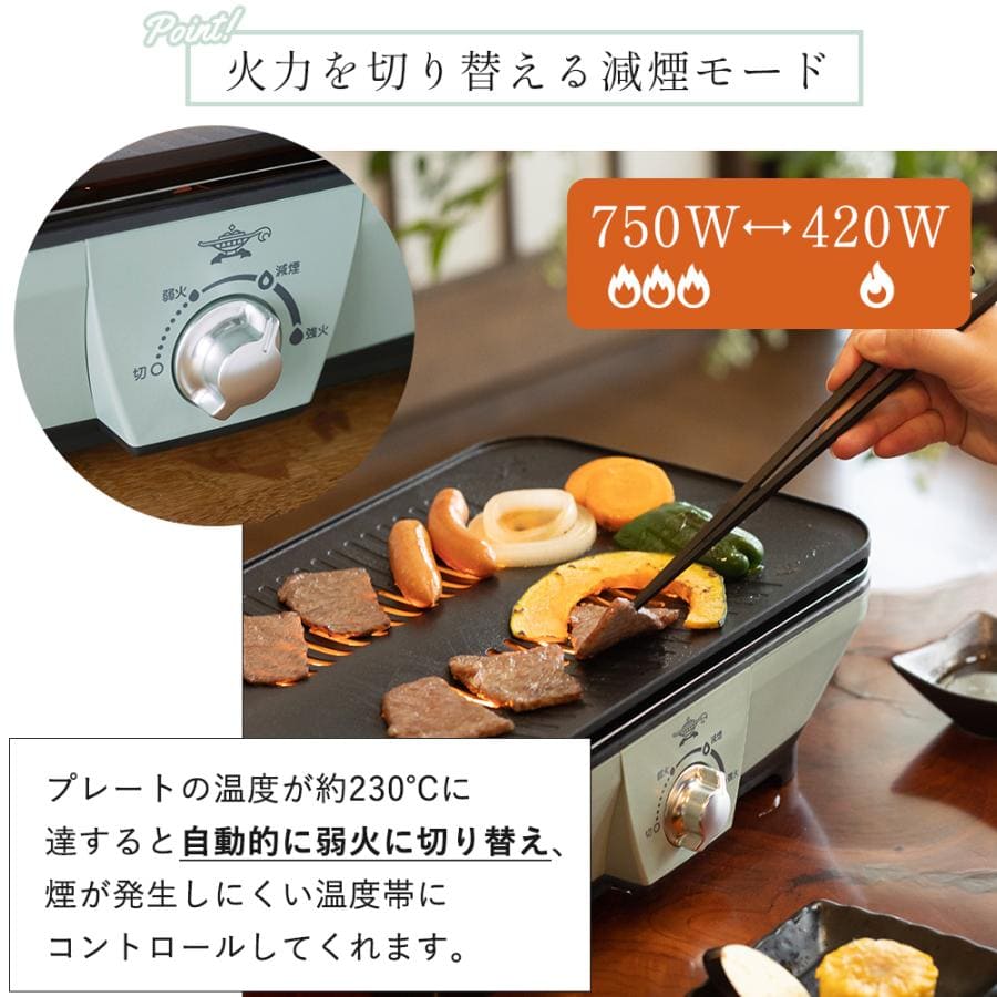 アラジン グラファイト ミニグリラー グリル グリルプレート ホットプレート Aladdin CAG-MG7A グリーン