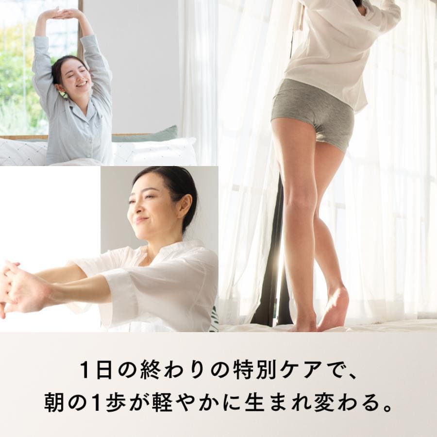 MYTREX RAKUNO FIT PLUS ブラウン MT-RFP-25BR