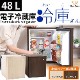 Sun Ruck サンルック 木目調 冷蔵庫 48L 冷庫さん ペルチェ方式 ミニ冷蔵庫 SR-R4802