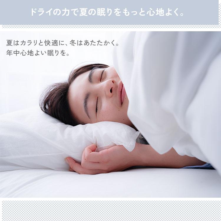 cado（カドー） ふとん乾燥機 FOEHN LITE フェーンライト ダニ退治 温風機能 最高60℃