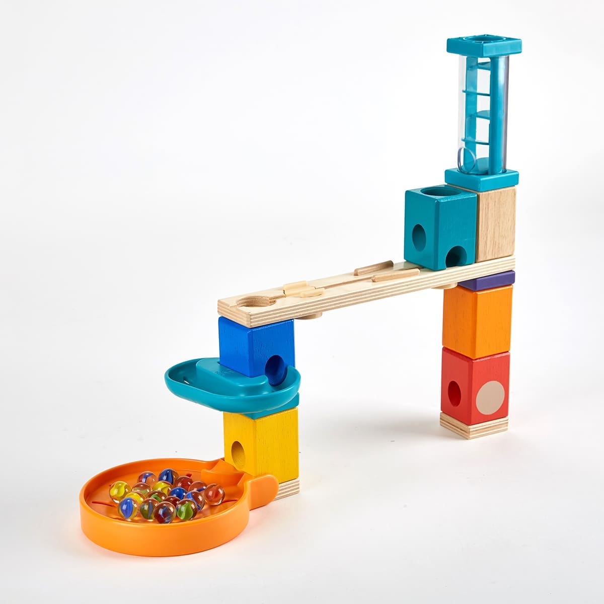 カメルーン産 クワドリマキュラトス ゴライアス70mm 【公式通販】