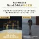 象印 ZOJIRUSHI IH炊飯ジャー STAN. 5.5合 ブラック NW-SB10