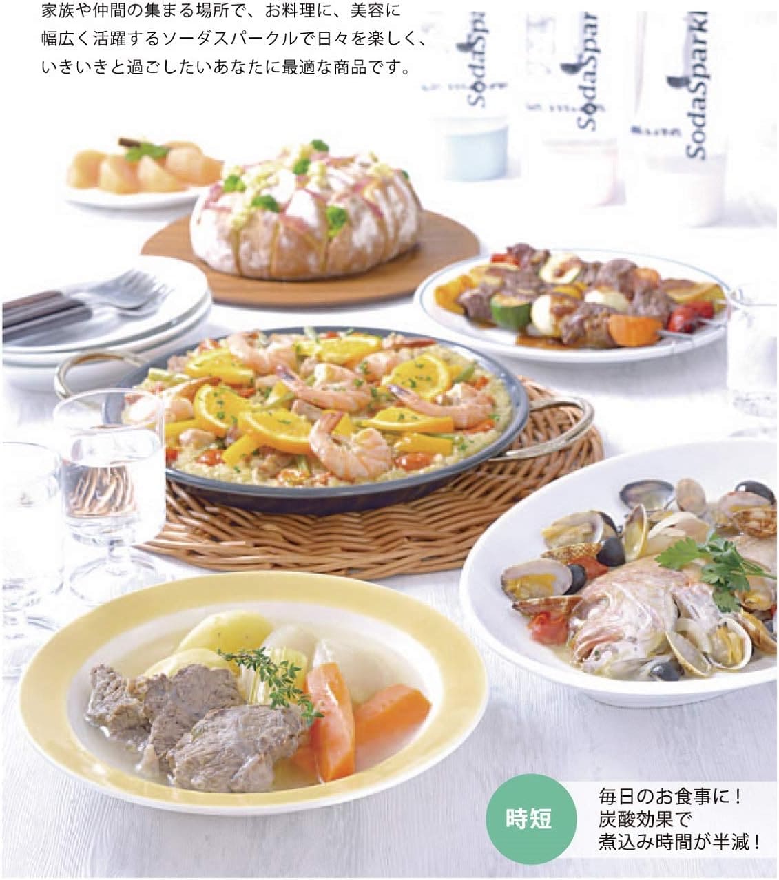 ソーダスパークル ソーダメーカー 炭酸水 マシン 水道水 ジュース ［ SodaSparkle マルチスパークル2 スターターキット MS2-1 ］