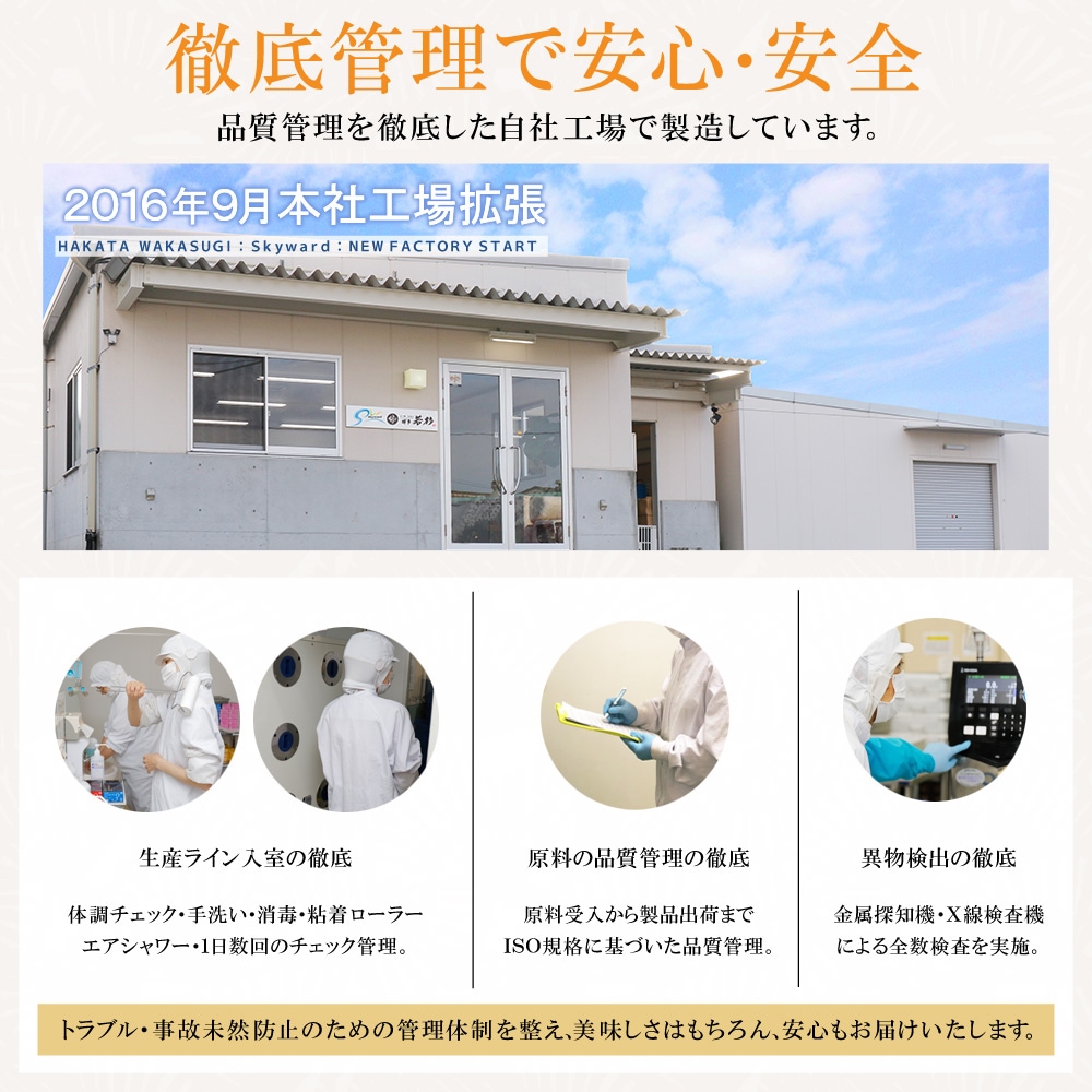 ������̵������¿��� ������饻�åȡʣ����������� �񻺥ߥå����ۥ������