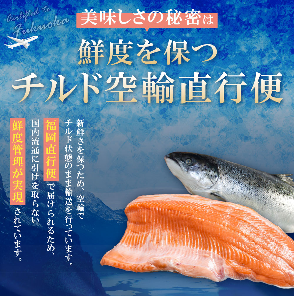 ͽ128в١̵ۡۥ⡼ ٤ʹ 600g/1kgݾڡˡƱԲġ