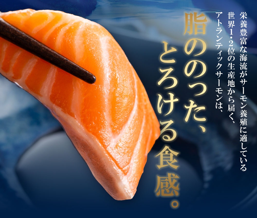 ͽ128в١̵ۡۥ⡼ ٤ʹ 600g/1kgݾڡˡƱԲġ