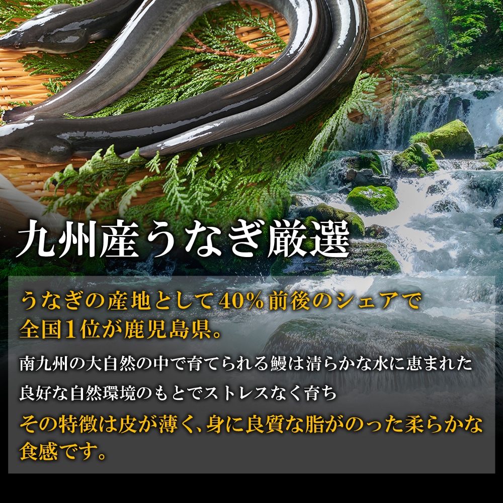 ̵ 񻺤ʤ祵4˥աƱԲġ