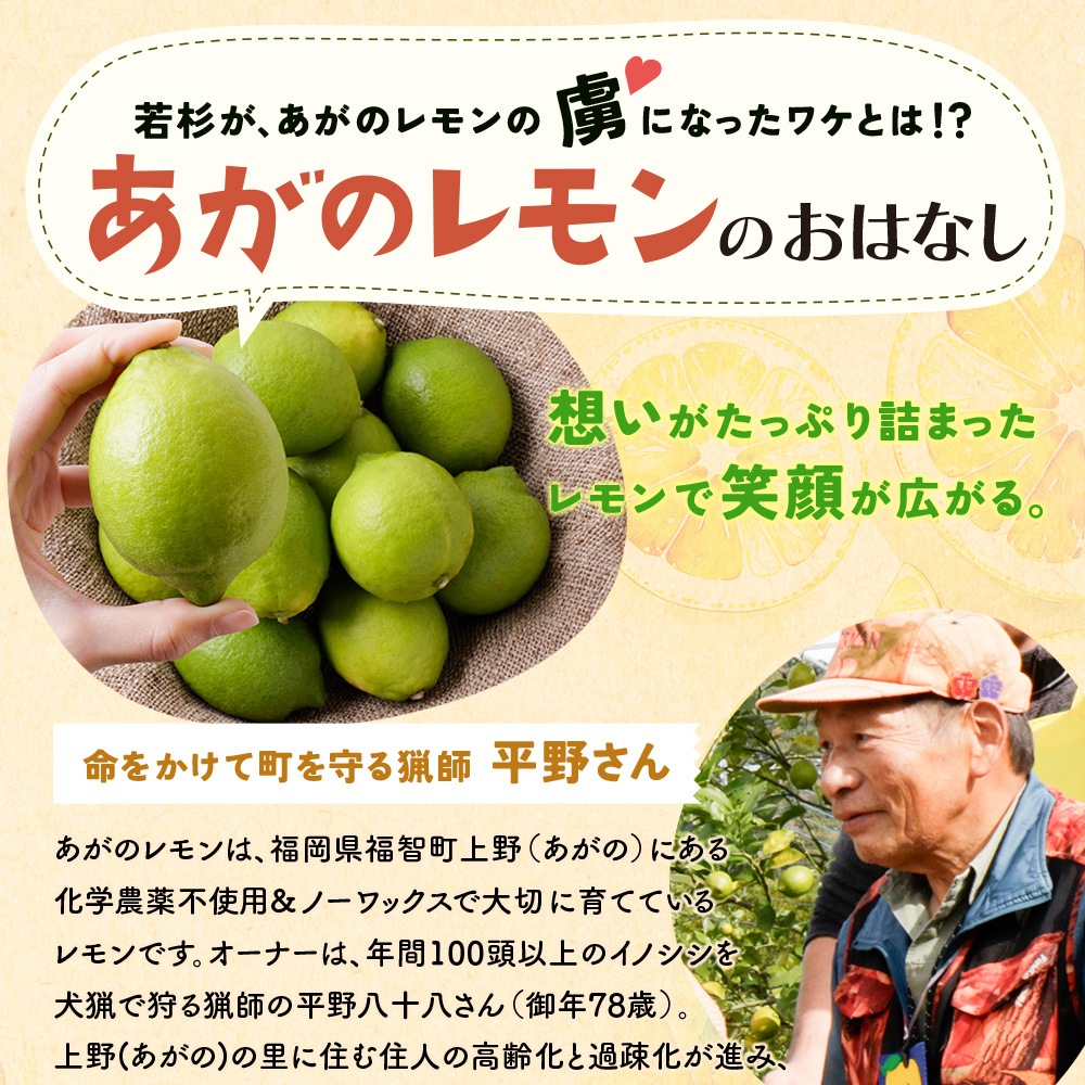 ˾ԲġۤΥ饻å() ̵̣ۡڿ̸ۡƱԲġ