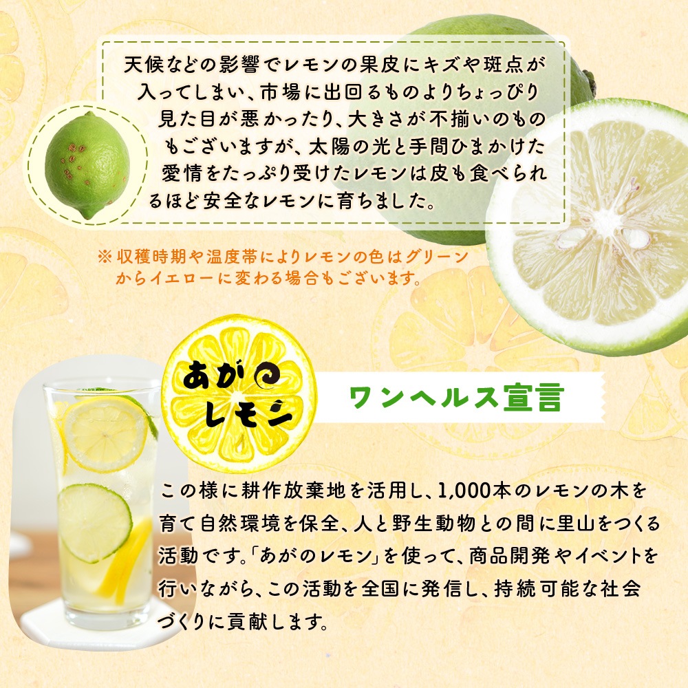 ˾ԲġۤΥ饻å() ̵̣ۡڿ̸ۡƱԲġ