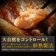 ̵¿Х饨ƥ ʪ ͹礻 ٤5/15ڡ ƱԲġ