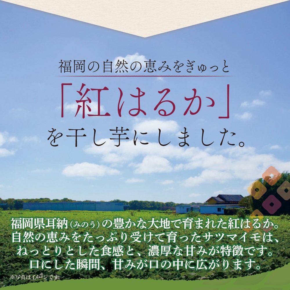 ̵  ٤ 800g/1.2kgभ/դˡƱԲġ