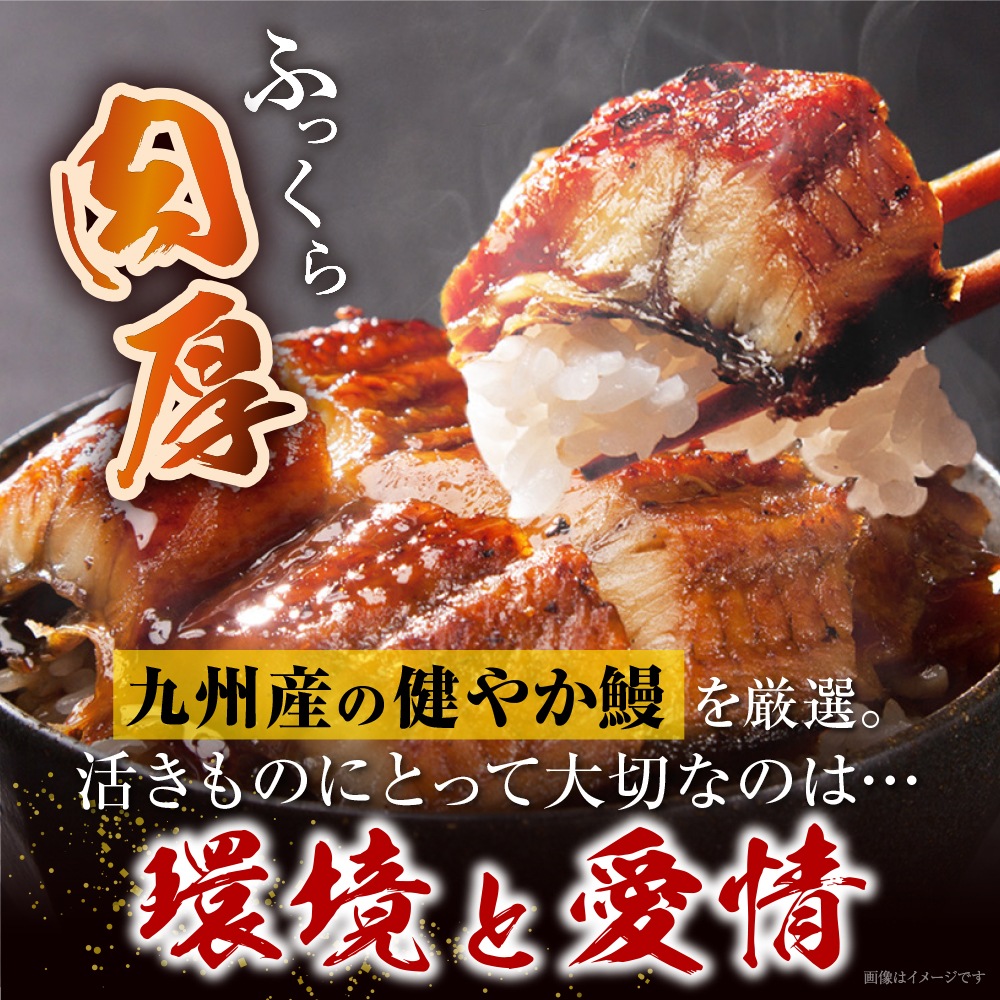 �ڥݥ����20��Ը����� 10/1 0:00��10/31 23:59�ޤǡ۹� ��䤫�� ̵Ƭ �������٤��2��/4��/6���˥��컳ܥ�ա�����̵����