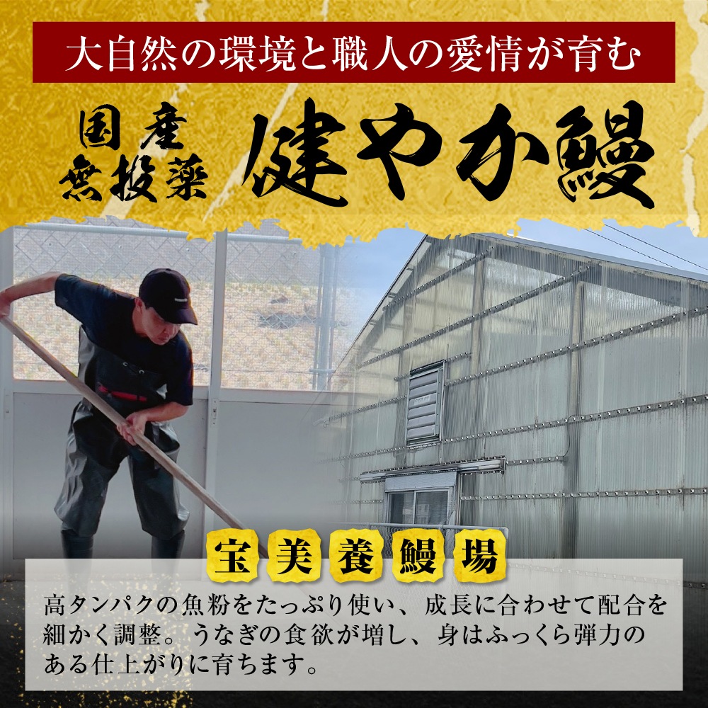 �ڥݥ����20��Ը����� 10/1 0:00��10/31 23:59�ޤǡ۹� ��䤫�� ̵Ƭ �������٤��2��/4��/6���˥��컳ܥ�ա�����̵����