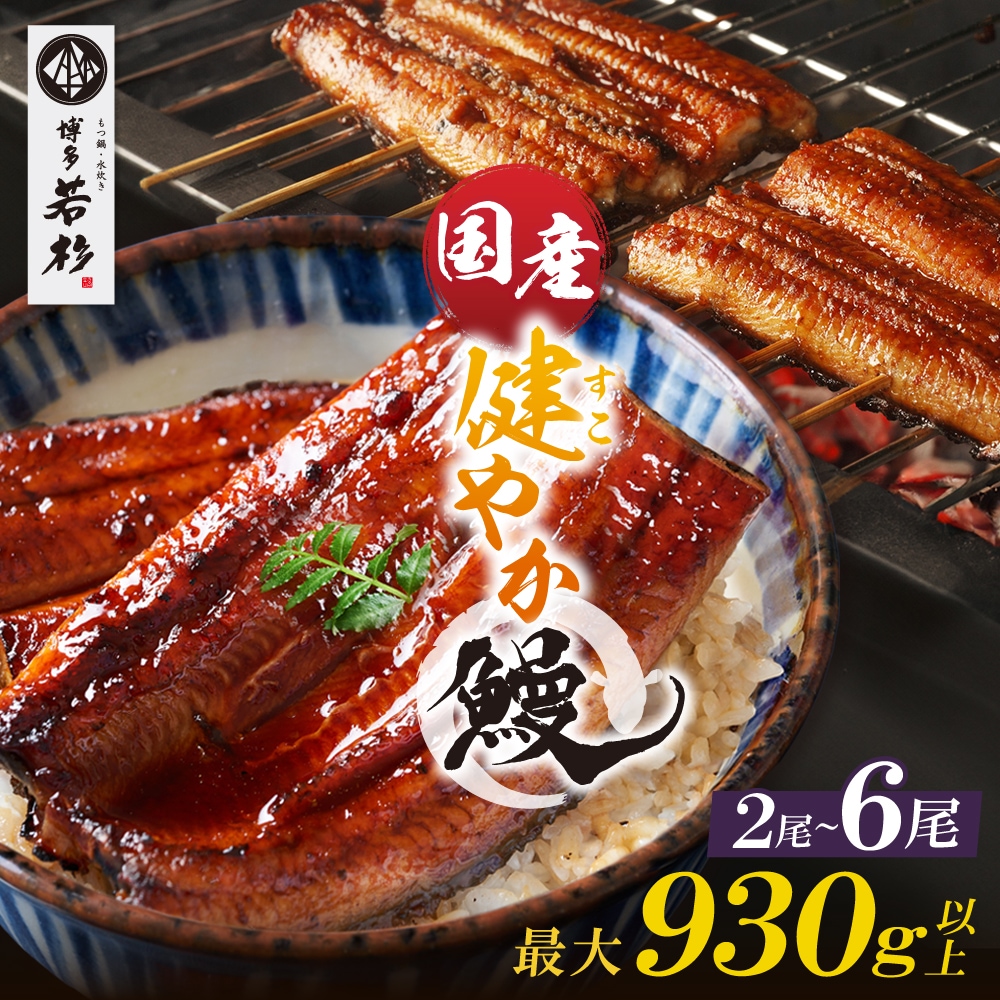 �ڥݥ����20��Ը����� 10/1 0:00��10/31 23:59�ޤǡ۹� ��䤫�� ̵Ƭ �������٤��2��/4��/6���˥��컳ܥ�ա�����̵����