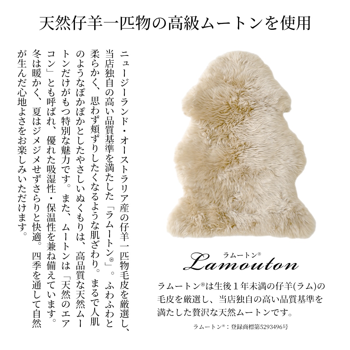 11/30日迄5%OFF 本物の品質 ムートン ラグ 一匹物 リアルファー 天然ムートン ムートンラグ オーストラリア産 カーペット 絨毯 おしゃれ