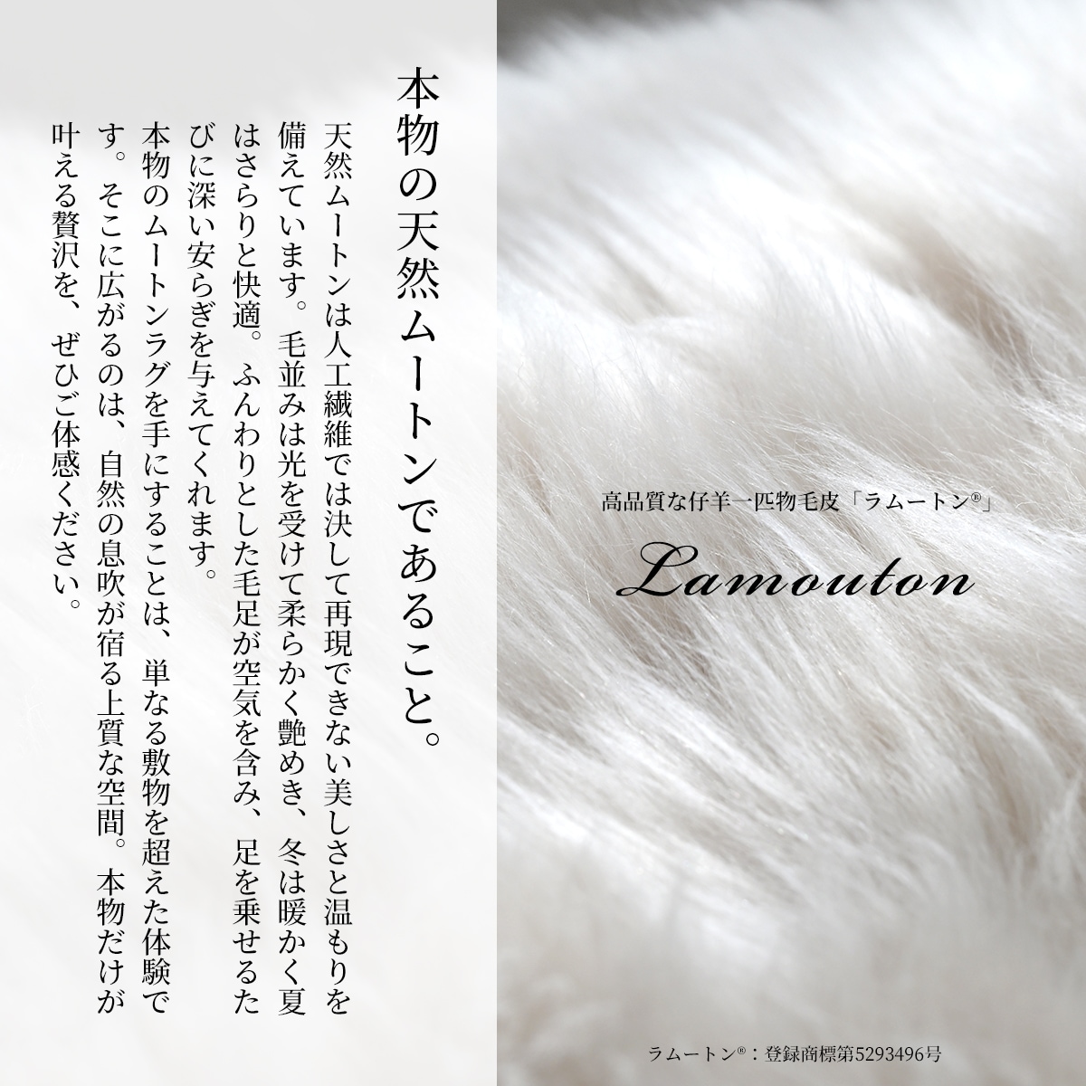 11/30日迄5%OFF 本物の品質 ムートン ラグ 一匹物 リアルファー 天然ムートン ムートンラグ オーストラリア産 カーペット 絨毯 おしゃれ