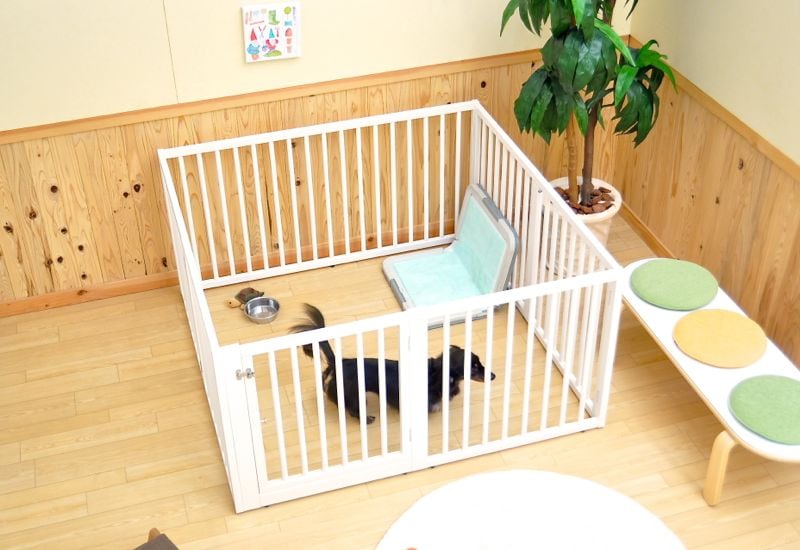 石崎家具　SLEEPY 木製ワンタッチペットサークル Lサイズ ナチュラル ベッド&ベビーベッド専門店『スリーピー』 「木製ワンタッチ