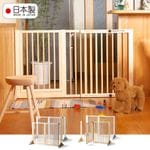 ������ �������ڥåȥ����ȡ���Ĥ�120��DX�ۡ� �ڥå� �ե��� �Хꥱ���� �� ������ ���� ���� ��Ω ���� ŷ���� �к�ȶ�