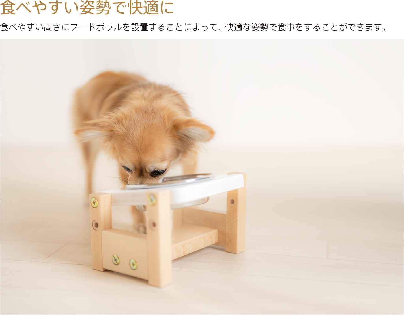 ������ �ڥå��� �ա��ɥܥ��륹����� �֤����ơ��֥�� ���ա��ɥܡ��� �� �ա��ɥܥ��� ������� ���� �ڥå� �ա��� �ܥ��� ������ ���� ���֤��� ǭ�� ������ ������ ������ ������� ���� �ڥå� �� �� ǭ �»� �⤵ ������ �ڥåȥ������� ���凉����� �к�ȶ�