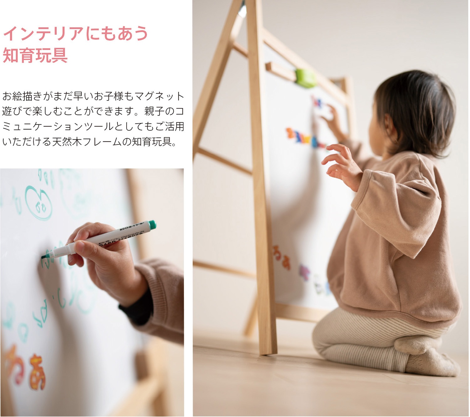   ֤äۤ襤Ȥܡɡڥ뷿ۡפ  Ҷ ܡ Ҷܡ  ܡ   ޥͥå ΩƷ 饹ȥܡ ޯ İ ܡ  ץ쥼 ΰ ƥå кȶ