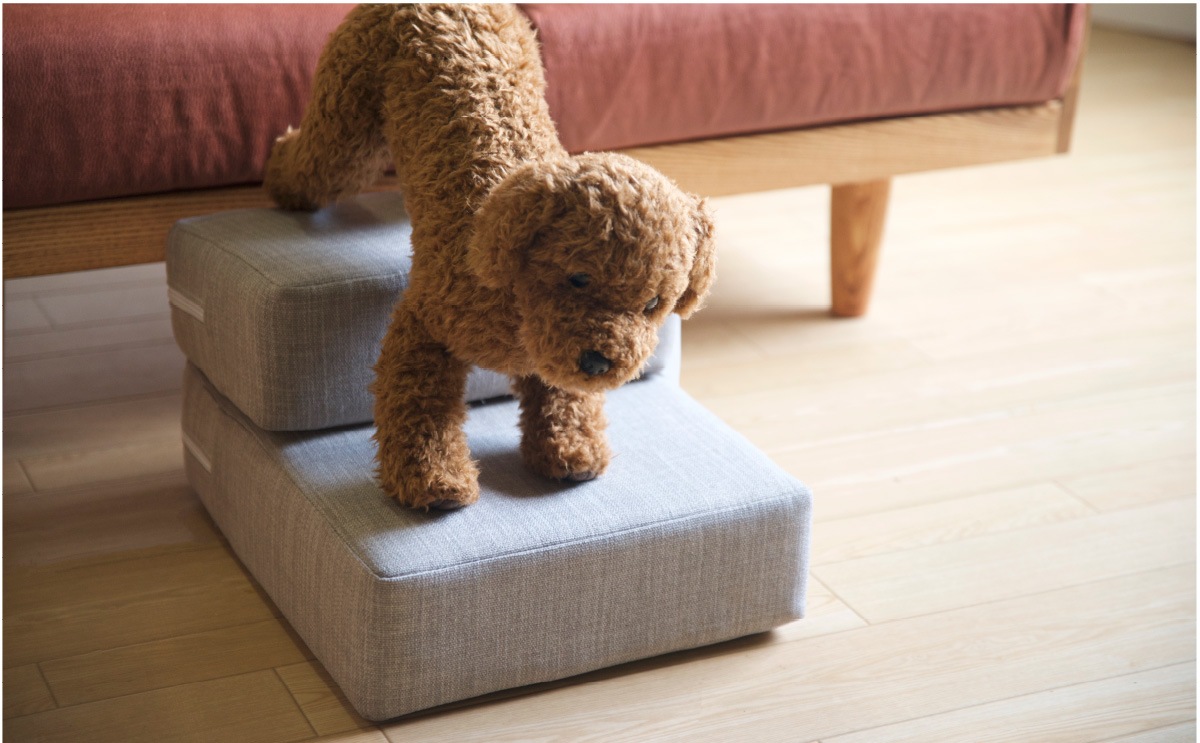 �֥ڥåȥ��ƥåסڥ쥮��顼�����סۡס� ������ ���С���� �ɥå����ƥå� 2�� ���� �ڥå� ���ƥå� ������� ���γ��� Ƨ���� �� ǭ ������ �ޥå� ���ե��� ���ե� ���ѥ��ƥå� �� �����ƥå��� �ڥåȥޥå� �ɥå����ƥå� ���ѳ��� �ɥå����ƥå׳��� �����ե����������� �к�ȶ�