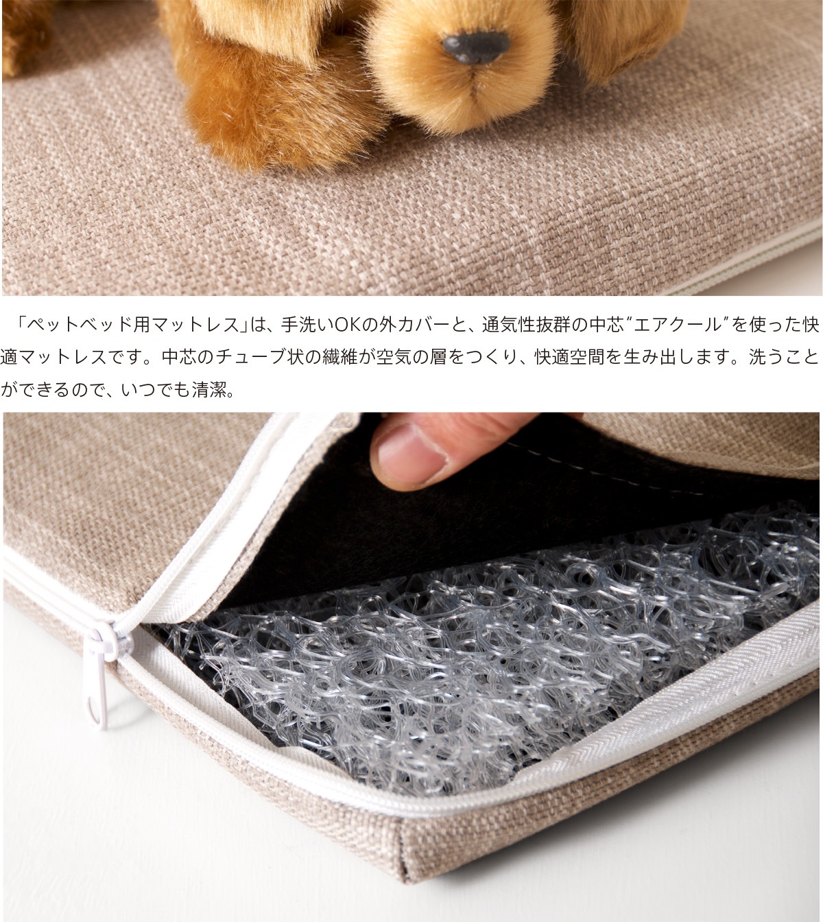 �֥ڥå��� 2���ޤ��ȿȯ�ޥåȥ쥹��SS�ۡ�700��500��30�˥����������