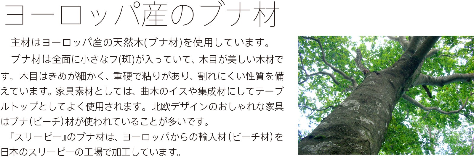 �������� 36��åȥ��18��åȥ��2Ȣ�ˡʹ��ռ��֥ʺ��