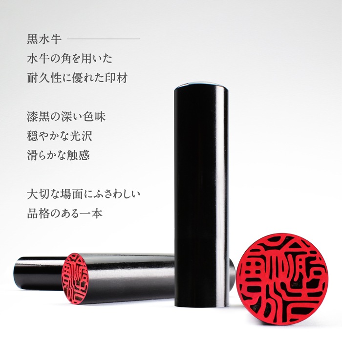 個人印鑑 黒水牛 ケース付2本セット （10.5/12.0） 【5営業日以内の出荷予定】 (HK130)