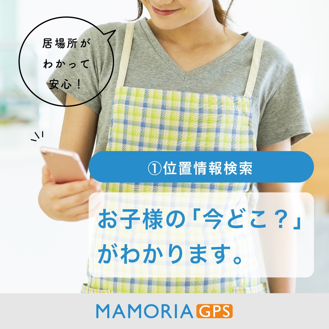 ޥꥢGPSڥߥ3ǯץ