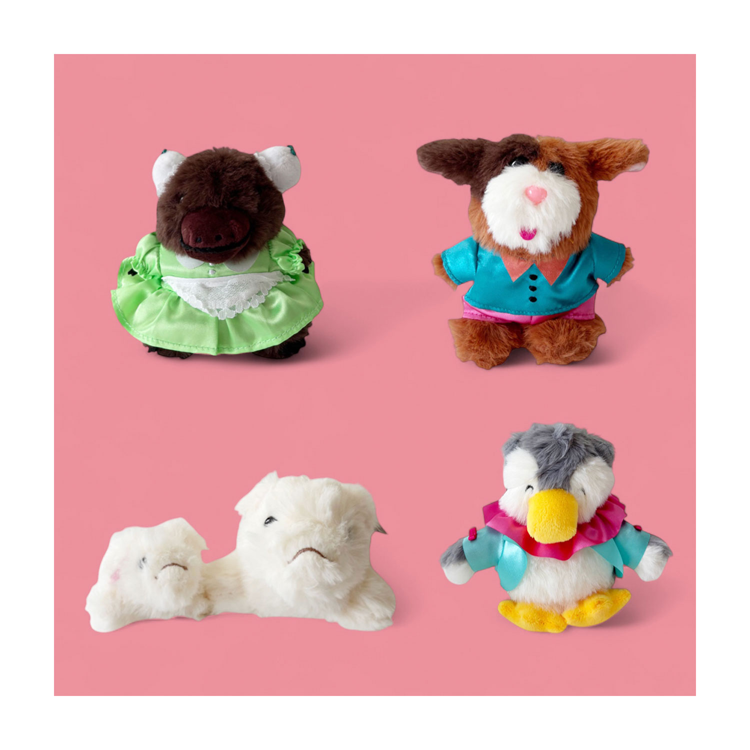 [公式] メーカー直営　