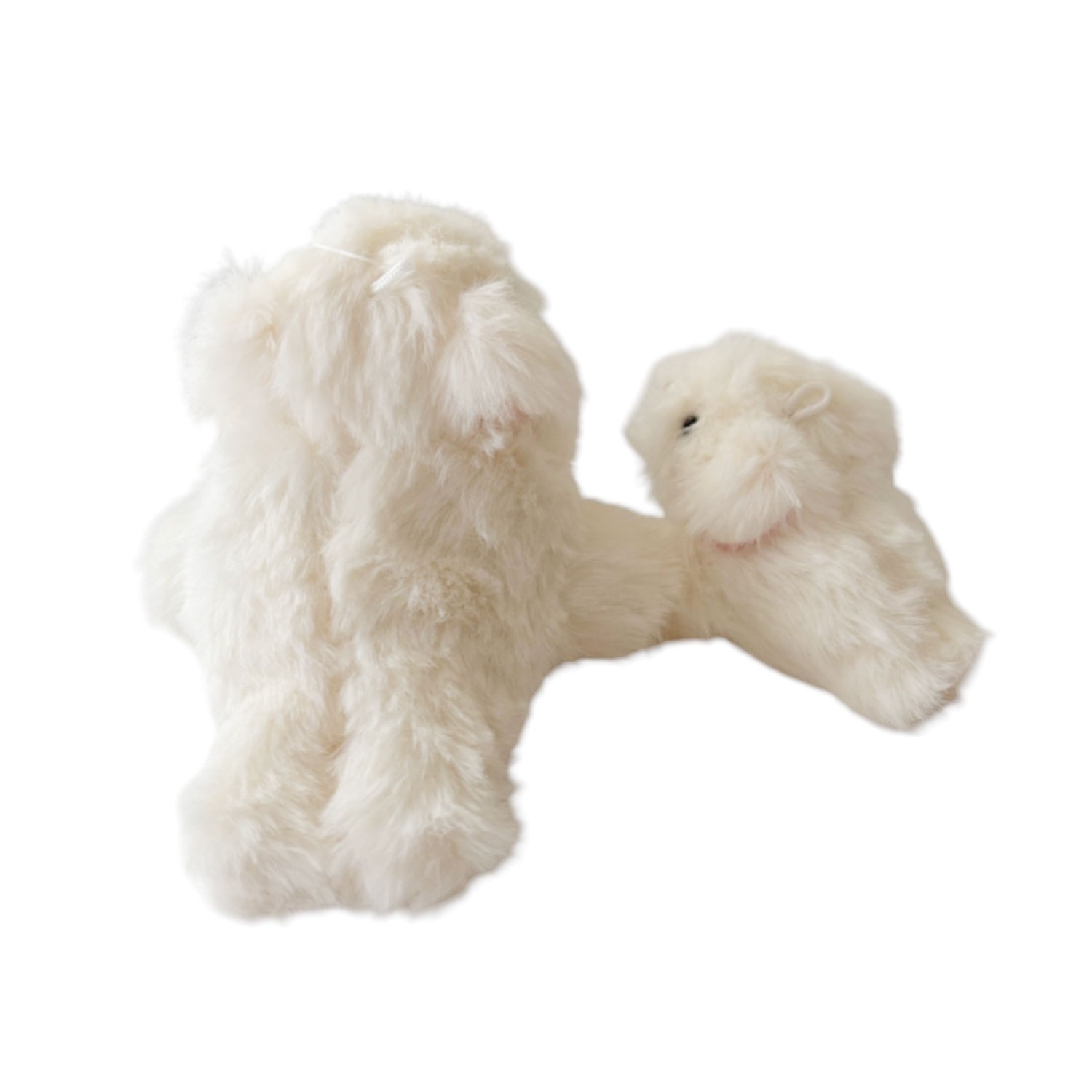 [公式] メーカー直営　