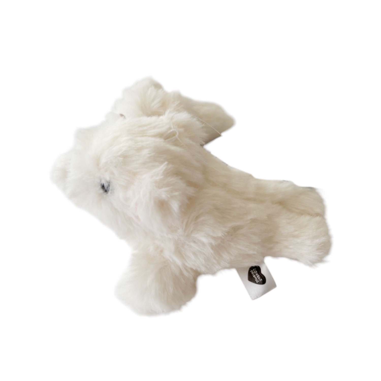 [公式] メーカー直営　