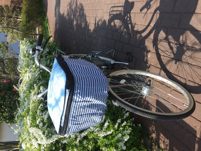 ѥС 2ʼ OF-PB ֥롼 ͥӡܡ ͥӡ եȥХå 륫С