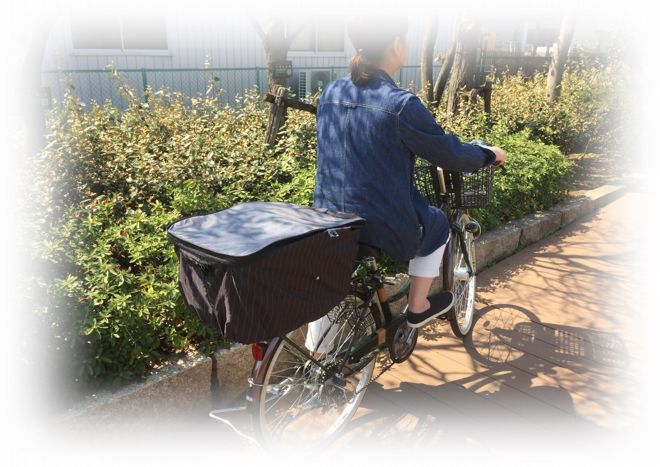 ž  С  ɿ  2ʼ OR-PB ѥ 졼  ԥ󥹥ȥ饤 ꥢХåȥС