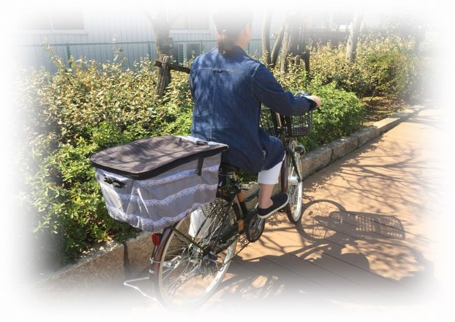 ž  С  ɿ  2ʼ OR-PB ѥ 졼  ԥ󥹥ȥ饤 ꥢХåȥС