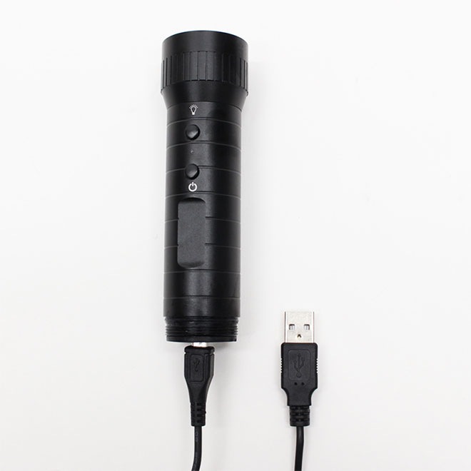 ɥ饤֥쥳 ž 饤 ե 100 USB ż ɥ쥳