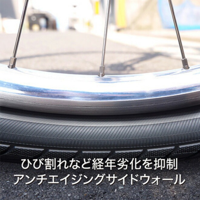 ��ž�� ������ SCHWALBE ������� �ޥ饽�� 700��23C �֥�å�