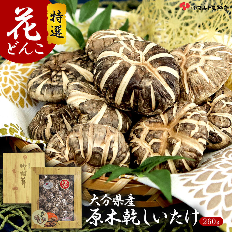 大分県産 原木椎茸 ギフト 花どんこ 260g 国産 御椎茸 干ししいたけ 乾椎茸 シイタケ 大容量 肉厚 原木栽培 乾燥 きのこ キノコ 茸